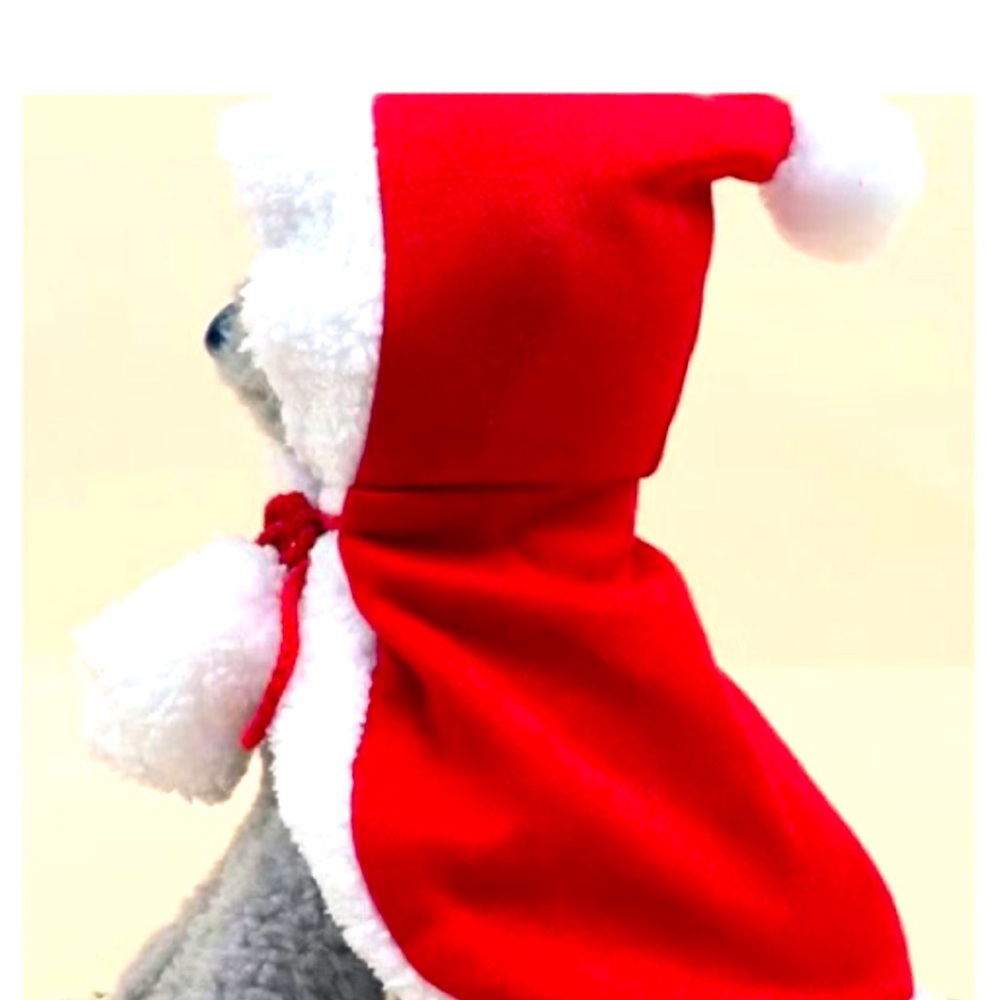 Holiday Hoodie Set Size Large